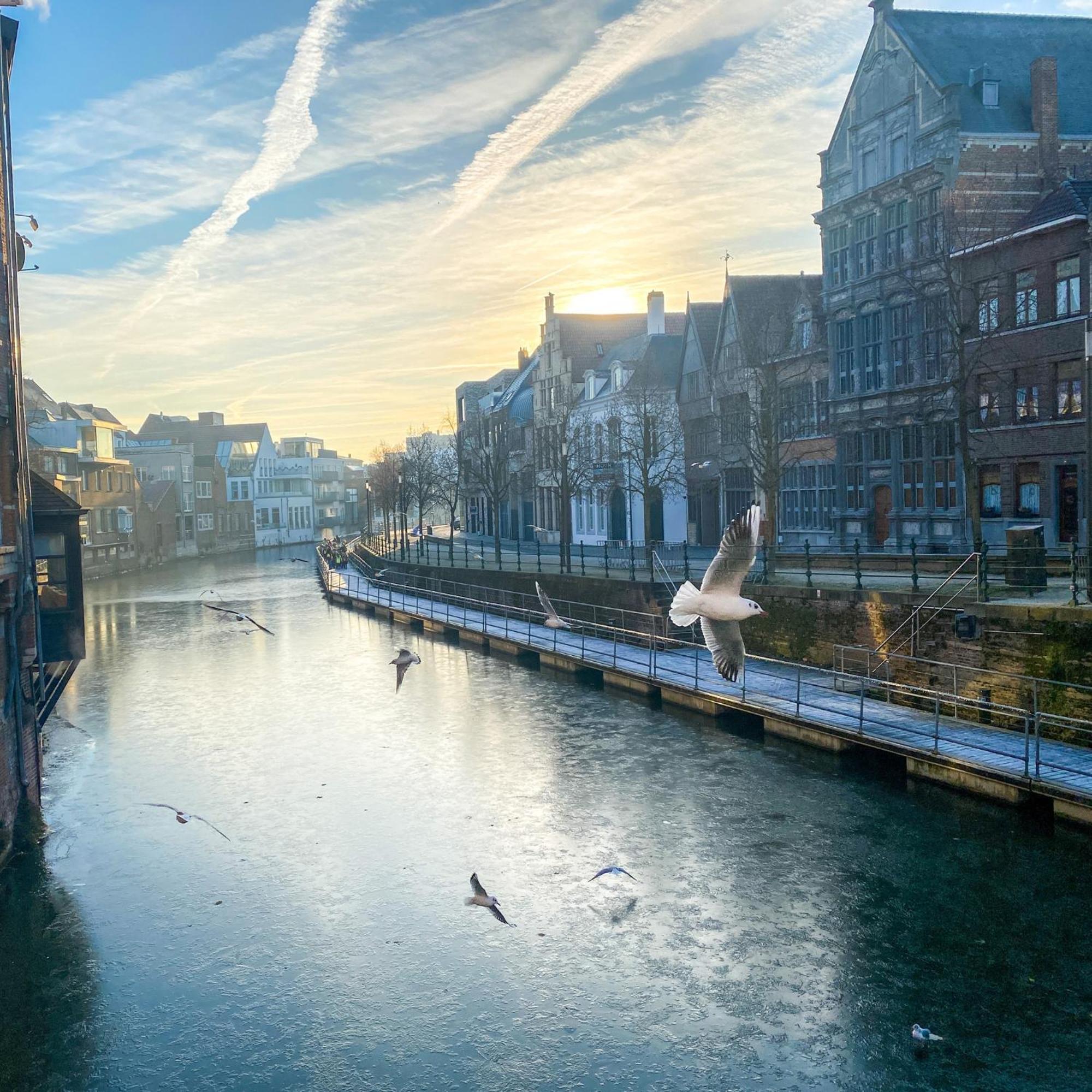 Huis Alna 2 Mechelen Ngoại thất bức ảnh